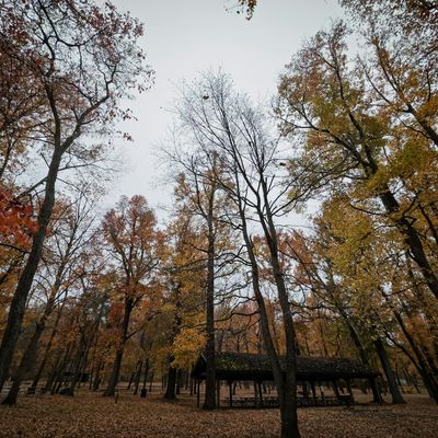 View of a tranquil park where outdoor sessions could take place.